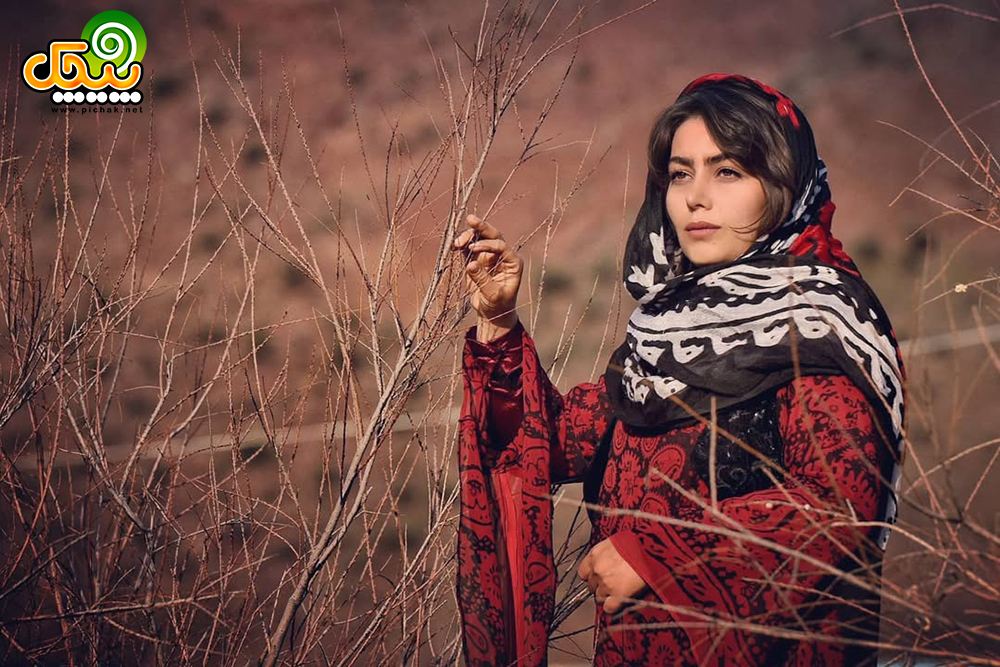 هدیه بازوند در سریال نون خ 3