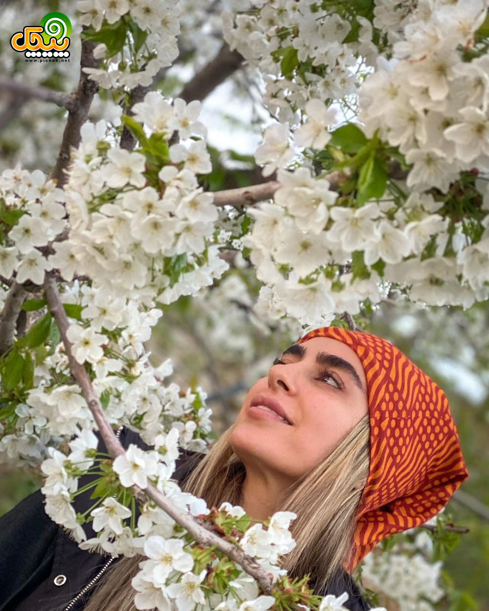 عکس های سمانه پاکدل