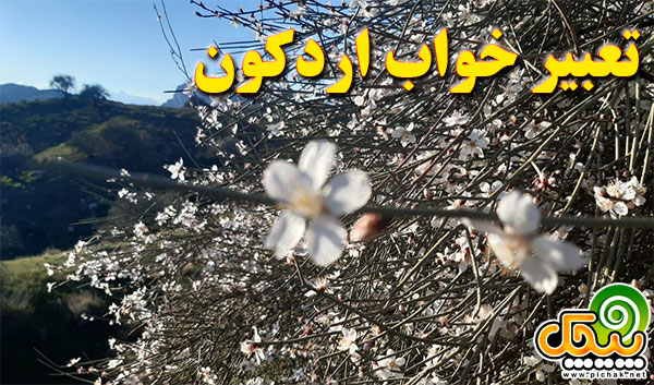 تعبیر خواب اردكون