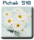 قالب های پیچك - سری چهل و چهارم pichak.net