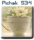 قالب های پیچك - سری چهل و پنجم pichak.net