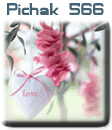 قالب های پیچك - سری چهل و هشتم pichak.net