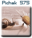 قالب های پیچك - سری چهل و هشتم pichak.net