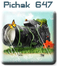 قالب های پیچك - سری پنجاه و چهار pichak.net